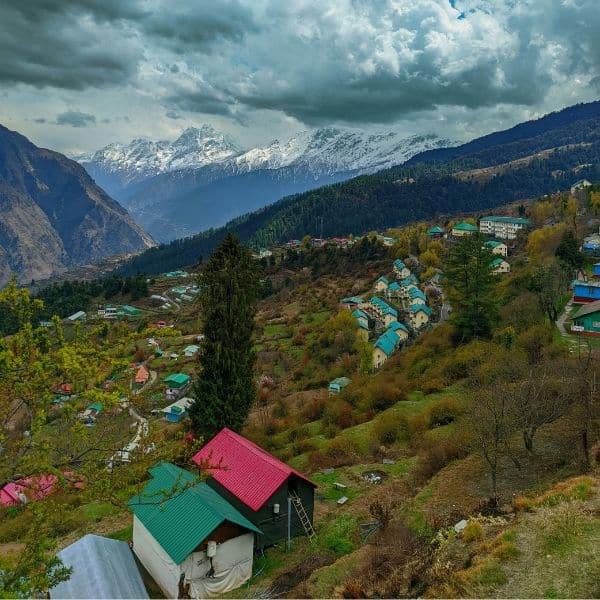 Auli